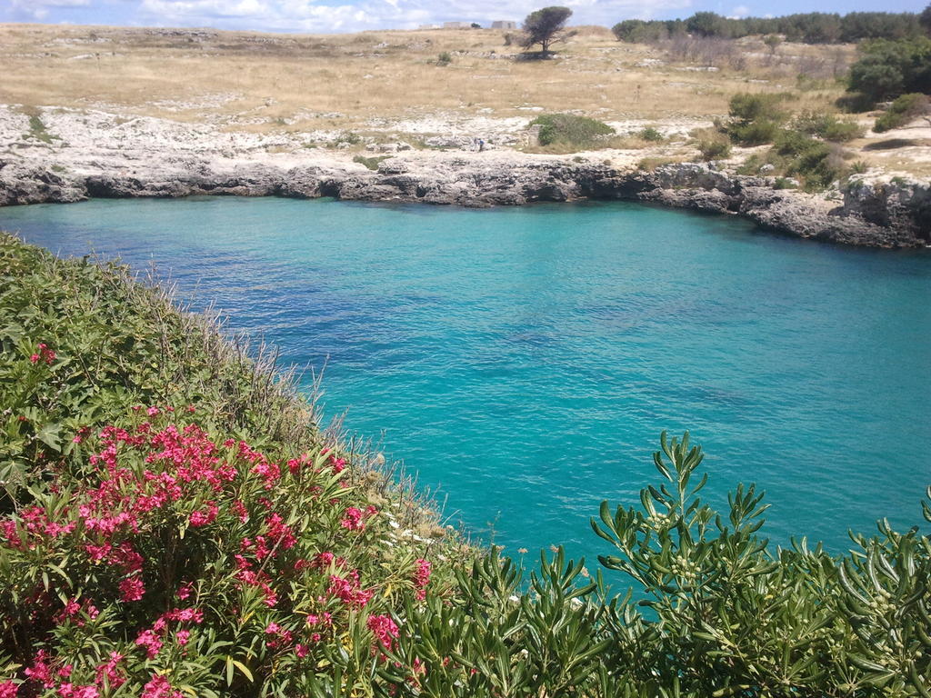 Masseria Vignenove